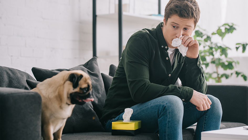 Getting an air purifier is one of the top approaches to boost your home’s indoor air quality. Learn more about the three best options. 